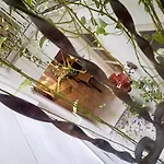Ai Tintori Oda ve Kahvaltı