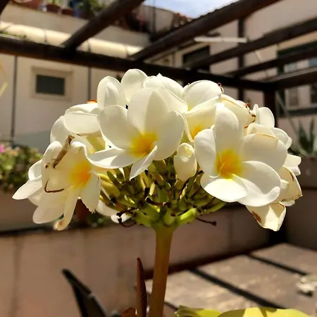 Ai Tintori Oda ve Kahvaltı Palermo