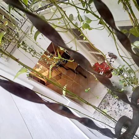 Ai Tintori לינה וארוחת בוקר