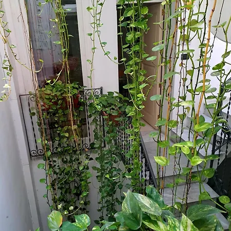 לינה וארוחת בוקר Ai Tintori