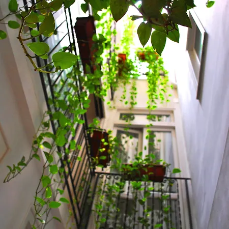 Ai Tintori לינה וארוחת בוקר