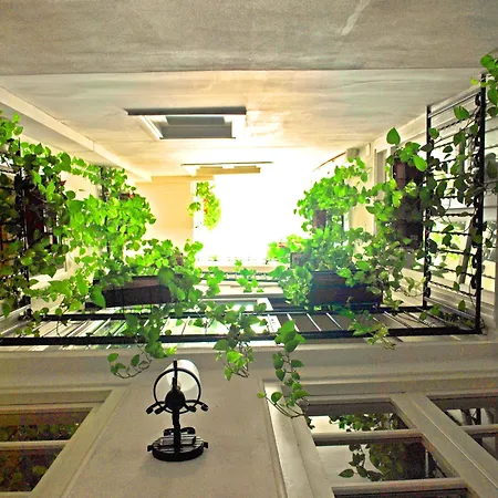 Ai Tintori פלרמו