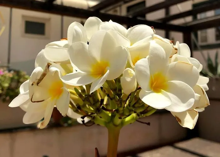 Ai Tintori Nocleg ze śniadaniem Palermo